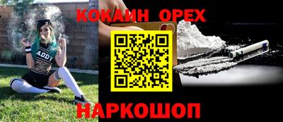 гидра Кандалакша