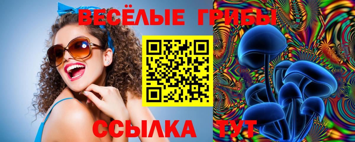 Красный Сулин  Псилоцибиновые грибы MAGIC MUSHROOMS  Вход с VPN 